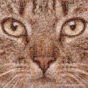 Meet your Posher, Jack